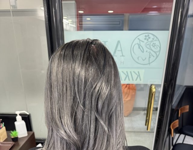 グレージュ　暗めグレージュ　ダークシルバー　本厚木　白髪ぼかし